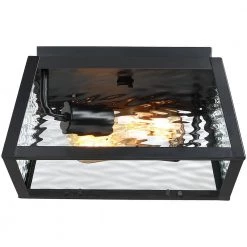 2-Light Black Outdoor Flush Mount Ceiling Light with Clear Water Glass by TRUE FINE