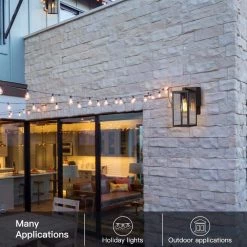 Trevot 1-Light 12 in. Black Outdoor Wall Lantern Sconce with Built-In GFCI Outlets by TRUE FINE -Dale Tiffany Store black true fine outdoor sconces td130001ot 77 1000