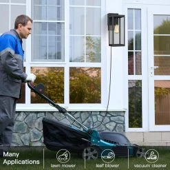 Trevot 1-Light 16 in. Black Outdoor Wall Lantern Sconce with Built-In GFCI Outlets by TRUE FINE -Dale Tiffany Store black true fine outdoor sconces td130002ot 66 1000