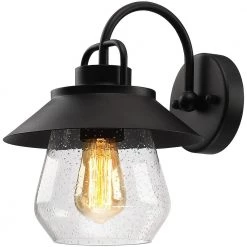 Cottage 1-Light Black Hardwired Outdoor Wall Lantern Sconce with Seeded Glass by TRUE FINE