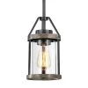 Madison 1-Light Natural Iron and Distressed Faux Wood Farmhouse Mini-Pendant with Clear Glass Shade by TRUE FINE